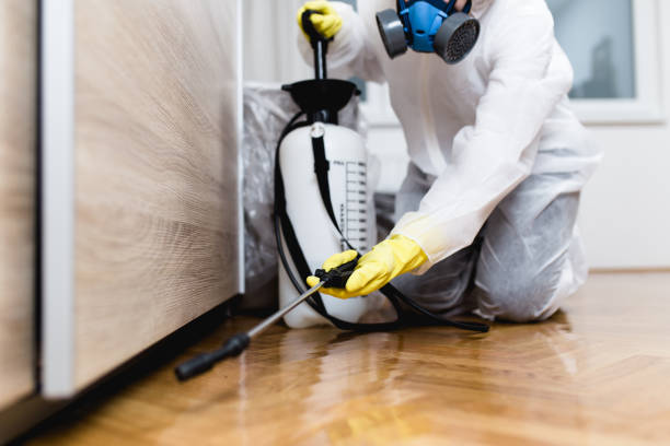 Best Mosquito Control Services  in Walhalla, SC