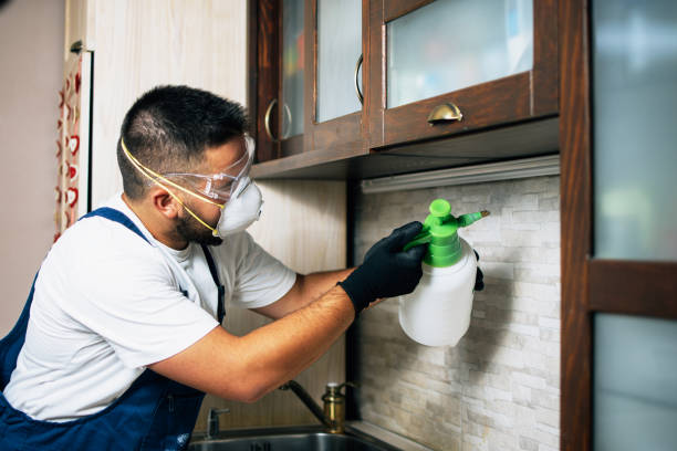Best Pest Control for Restaurants  in Walhalla, SC