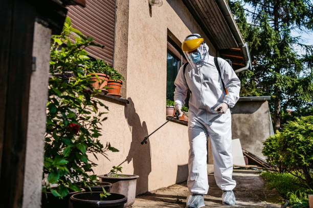 Best Pest Control for Businesses  in Walhalla, SC