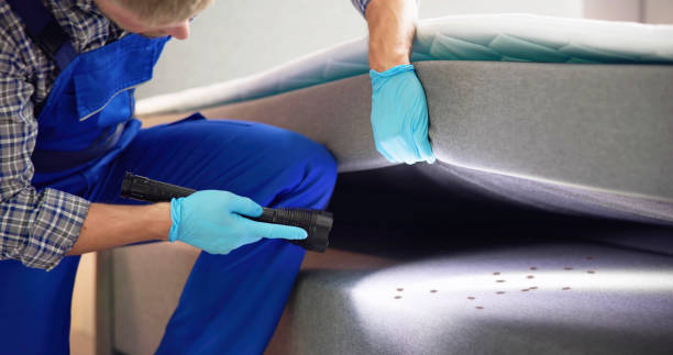 Best Affordable Exterminators  in Walhalla, SC