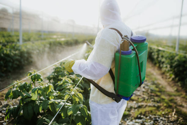 Trusted Walhalla, SC Pest Control Experts